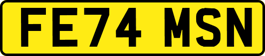 FE74MSN