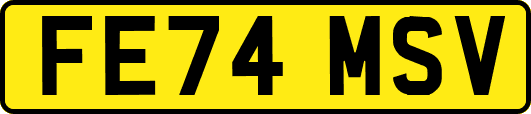 FE74MSV
