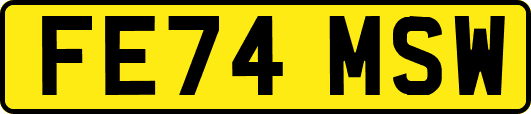 FE74MSW