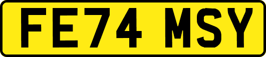 FE74MSY