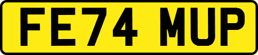 FE74MUP