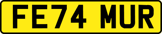 FE74MUR
