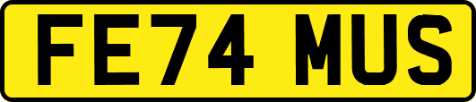 FE74MUS