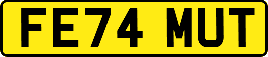 FE74MUT