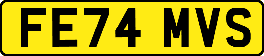 FE74MVS