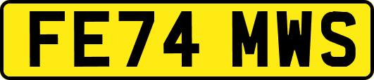 FE74MWS