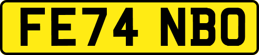 FE74NBO