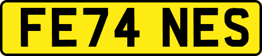 FE74NES