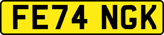 FE74NGK