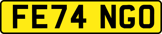 FE74NGO