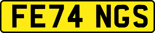 FE74NGS