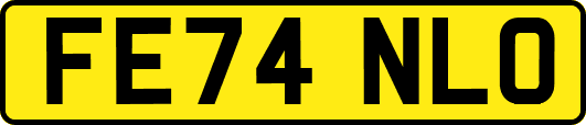 FE74NLO