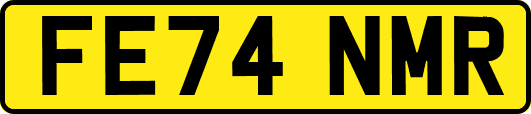 FE74NMR