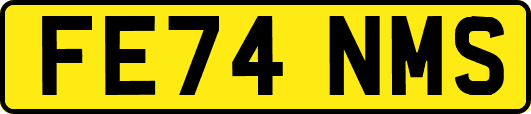FE74NMS