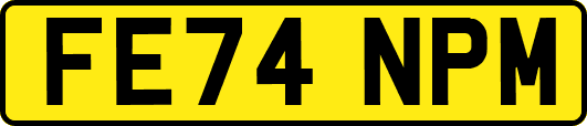 FE74NPM