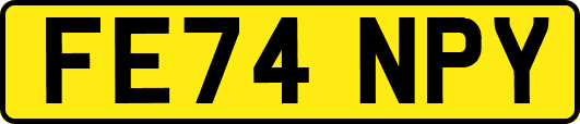 FE74NPY