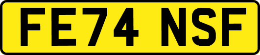 FE74NSF