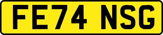 FE74NSG