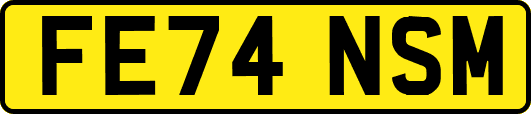 FE74NSM
