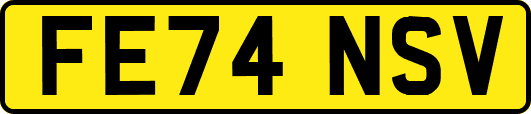 FE74NSV