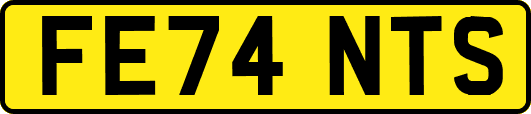 FE74NTS
