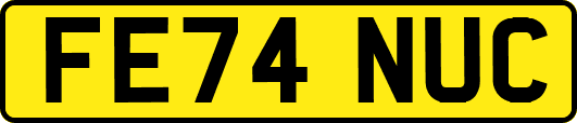 FE74NUC