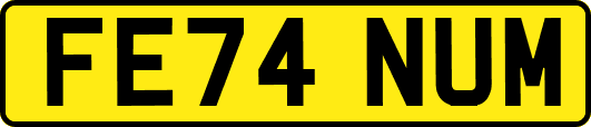 FE74NUM