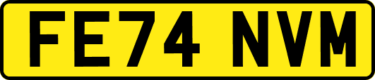 FE74NVM