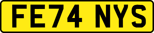 FE74NYS