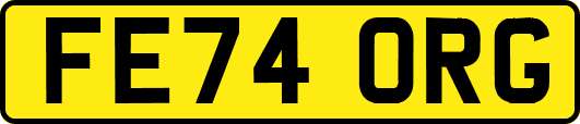 FE74ORG