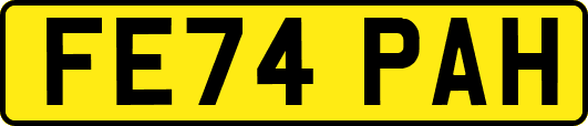 FE74PAH