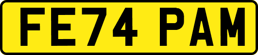 FE74PAM