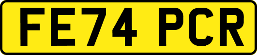 FE74PCR