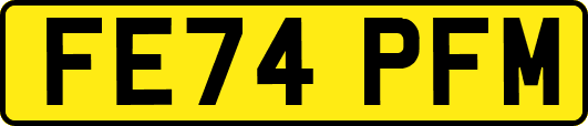 FE74PFM