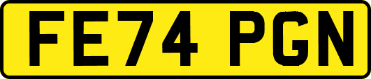 FE74PGN
