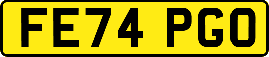 FE74PGO