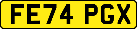 FE74PGX