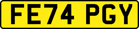 FE74PGY