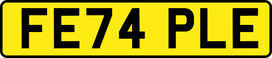 FE74PLE