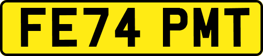 FE74PMT