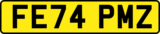 FE74PMZ