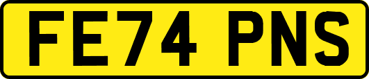 FE74PNS