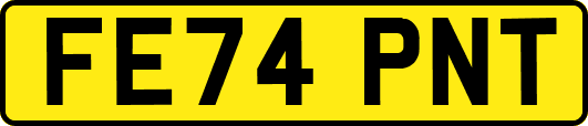 FE74PNT