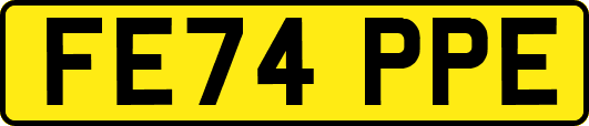 FE74PPE