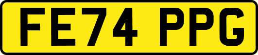 FE74PPG