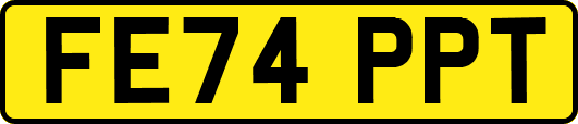 FE74PPT
