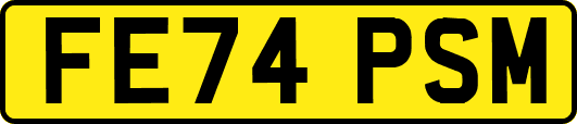 FE74PSM