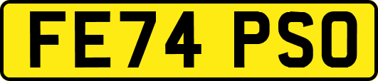 FE74PSO