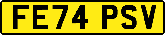 FE74PSV