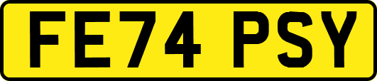 FE74PSY